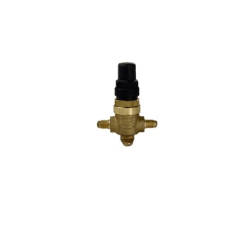 GMC CAPPED VALVE 1/4 SAE