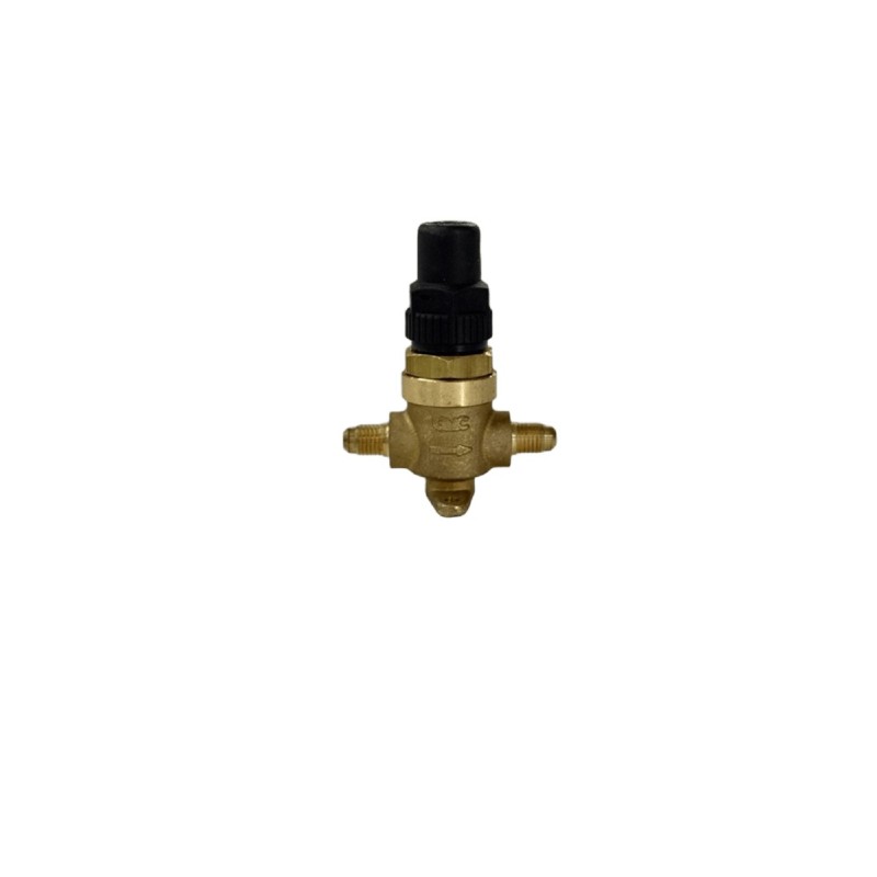 GMC CAPPED VALVE 3/8 SAE
