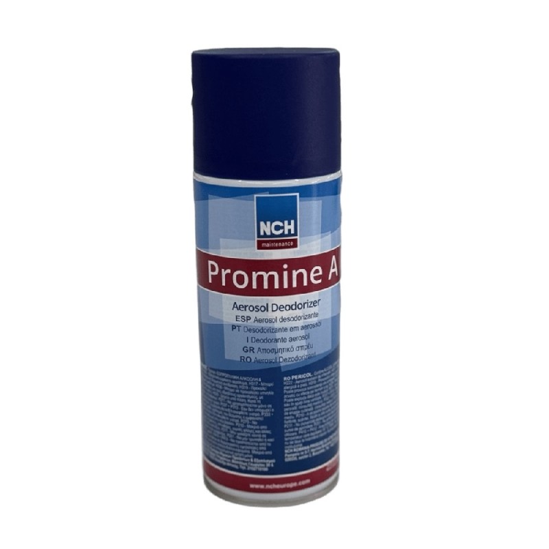 ΑΠΟΛΥΜΑΝΤΙΚΟ SPRAY PROMINE A 400ML NCH